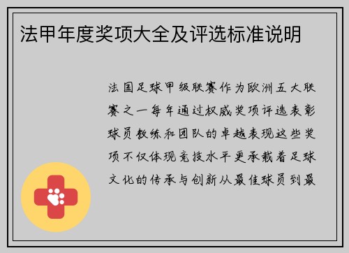 法甲年度奖项大全及评选标准说明
