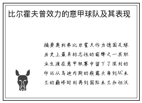 比尔霍夫曾效力的意甲球队及其表现