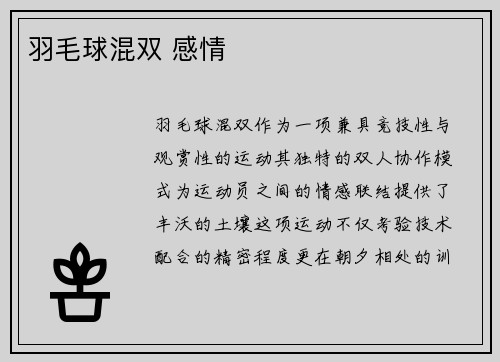 羽毛球混双 感情
